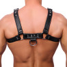 The Red Harness Harnais en cuir premium noir